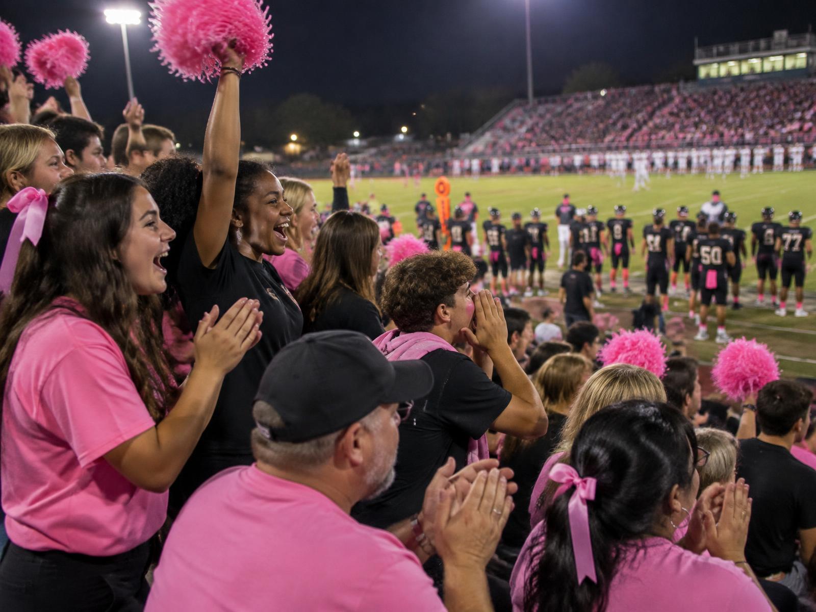 Family wearing coordinated pink out apparel at a game